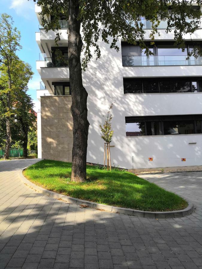 Cosy Design Apartment IV برنو المظهر الخارجي الصورة